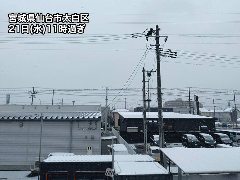 東北南部は湿った雪に 仙台市内も雪化粧