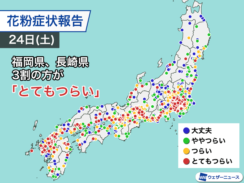 天気が回復して花粉飛散増加　九州は3割の方が「とてもつらい」症状