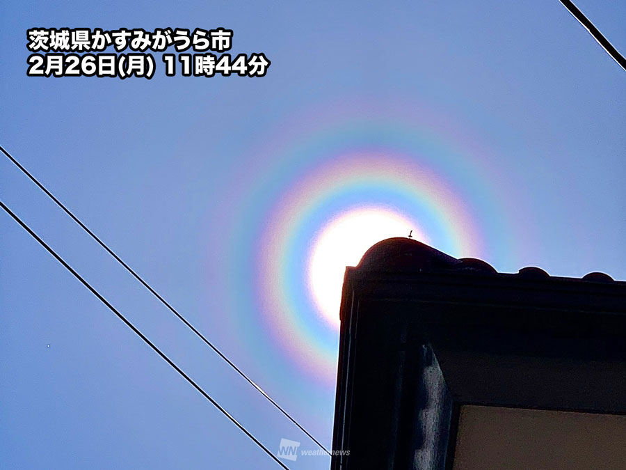 関東で花粉光環が出現　雨上がりの強風でスギ花粉が大量飛散か