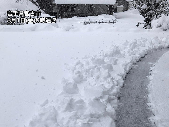 東北は北部を中心に湿った雪　路面状況の悪化に注意