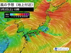 北日本や東日本は朝から強風に 関東や東海は花粉の飛散に要注意