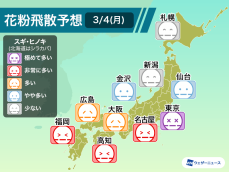 今日は関東などで花粉が大量飛散のおそれ　東京は“極めて多い”予想