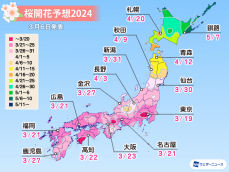 桜開花予想2024　全国トップは東京で3月19日　平年並〜平年より早まる予想