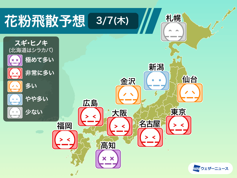 今日は花粉が大量飛散のおそれ　東京や大阪で“非常に多い”予想