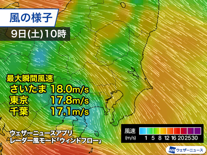 関東は朝から日差し届くも風が冷たい　花粉の飛散量も増加