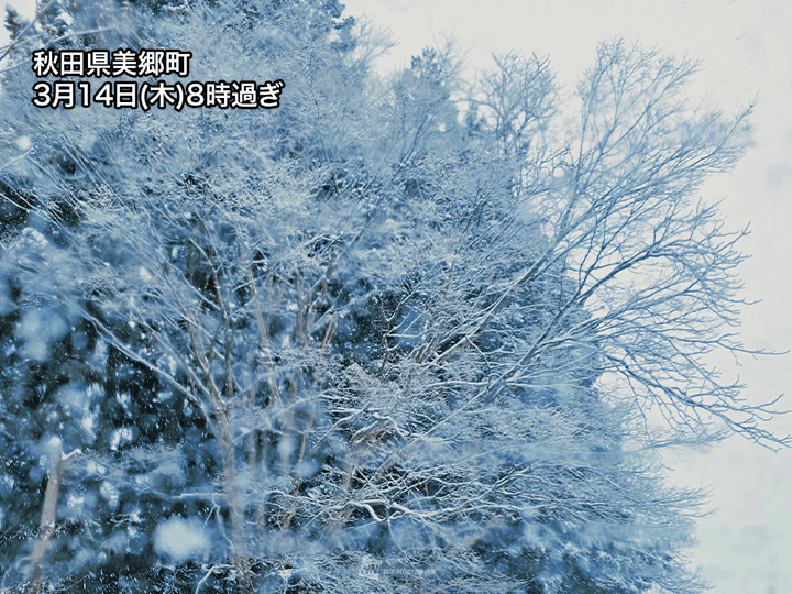 東北は断続的に雪や雨　局地的に雷や突風を伴うことも