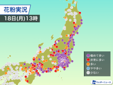 関東や東北太平洋側は花粉大量飛散　「とてもつらい」症状報告が増加