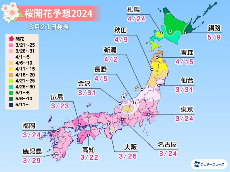 桜開花予想2024　明日から桜開花スタート　トップは高知で3/22、東京は3/24