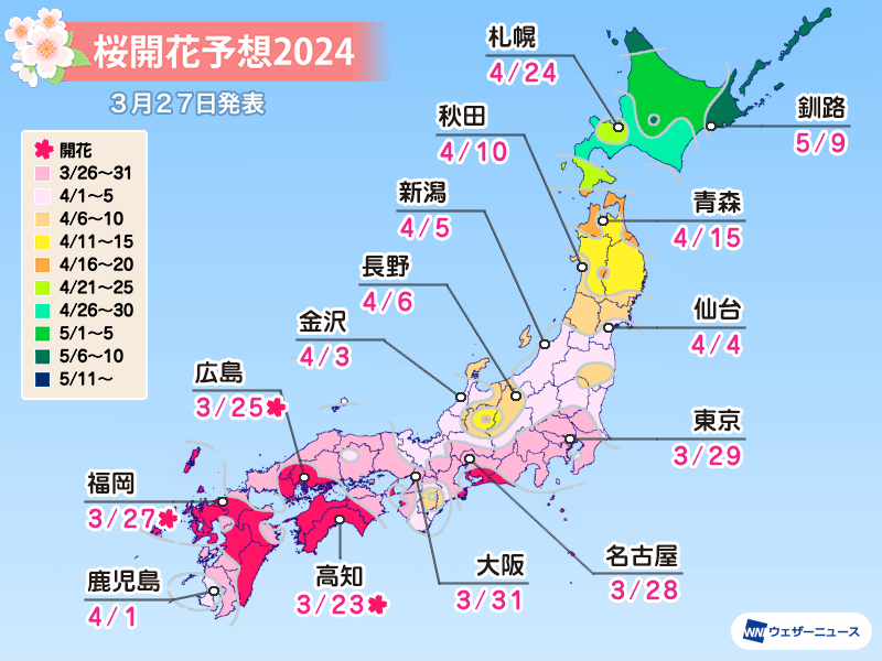 桜開花予想2024　西日本や東日本は来週にかけて桜の開花ラッシュ　4月上旬に満開へ