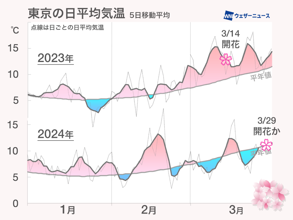 東京は今日にも桜開花発表か　昨年よりも半月遅れ　気温の推移に差