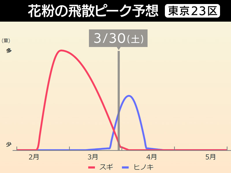 ヒノキ花粉の飛散に注意　4月中旬にかけて飛散のピーク