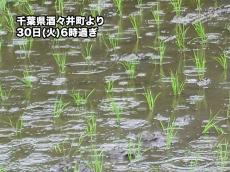 今朝は関東南部を中心に雨も午後は降り止む　その他も雨が降りやすい