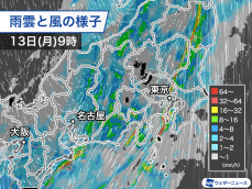 近畿や東海で局地的に強い雨　関東は雨に加えて強風にも注意