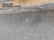 新潟県で局地的に霰(アラレ)　天気急変で気温も急降下