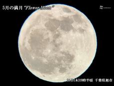 満月「フラワームーン」が夜空を照らす