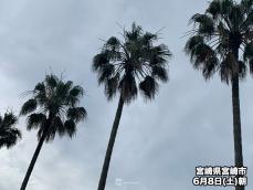 本日、九州南部が梅雨入り　昨年より9日遅い雨の季節の到来に