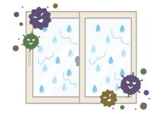 梅雨どきの悩みであるカビと細菌の違い 「ばいきん」を漢字で書けますか？　