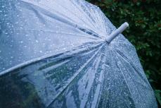 「トントン」「クルクル」は間違い？ 知っておきたい傘の“正しい水の切り方”とは