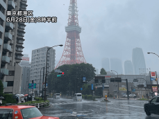 東海、関東の沿岸は朝から強雨　静岡県では非常に激しい雨を観測