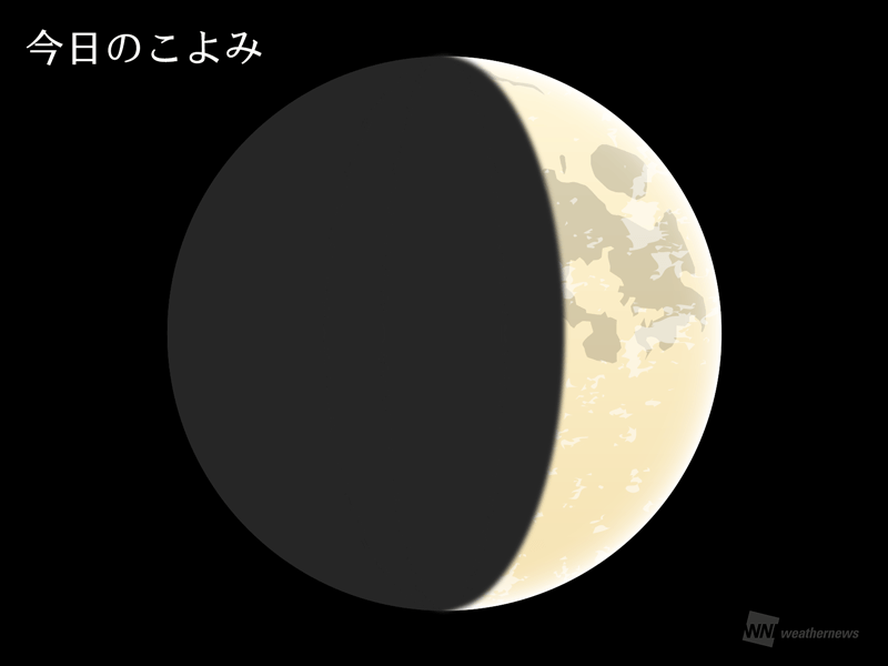 今日のこよみ・今週のこよみ 2024年7月11日(木)