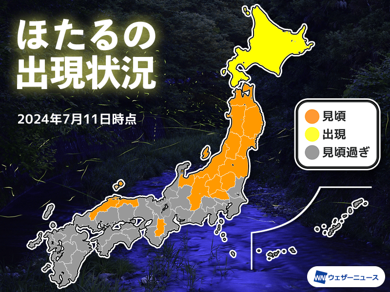 北海道でもほたるが出現 西日本や東日本はシーズン終了へ