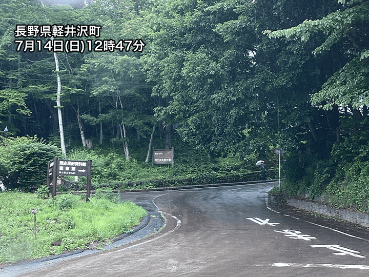 本州日本海側で局地的に雨雲が発達　明日にかけて強雨に注意