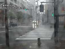 東京23区でも天気急変し雷雨　今夜にかけて強雨や落雷、突風に注意