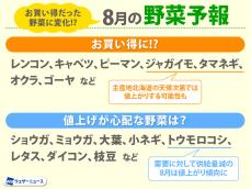 お買い得だった野菜に変化？酷暑の影響は　8月の野菜予報