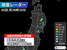 岩手県で1時間に約100mmの猛烈な雨　記録的短時間大雨情報