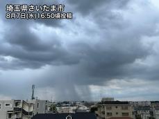 埼玉でゲリラ雷雨　夜にかけて東京都心も天気急変に注意