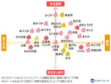 あなたは硬い派？柔らかい派？ 好みの桃が一目でわかる“桃チャート”