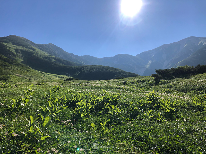 山の天気はなぜ変わりやすい？登山時に知っておくべき天気急変のサイン