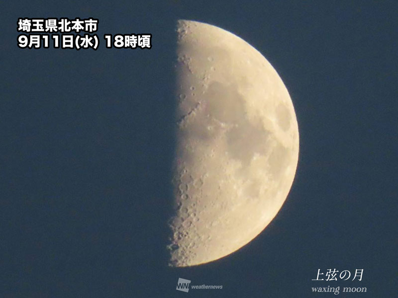 今日9月11日(水)は「上弦」　半月が夜空に浮かぶ