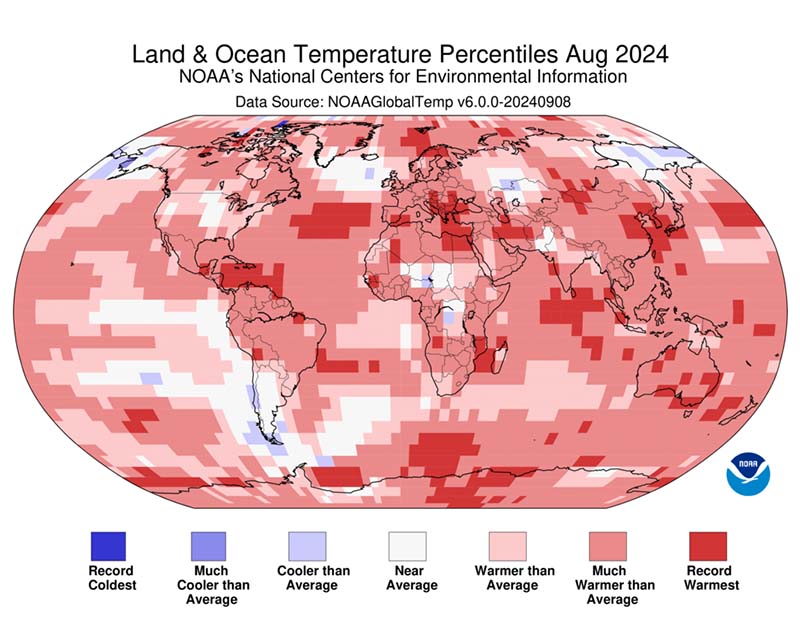 8月も世界の気温は過去最高　2024年が最も暖かい年になる確率は97%　米海洋大気庁