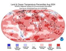 8月も世界の気温は過去最高　2024年が最も暖かい年になる確率は97%　米海洋大気庁