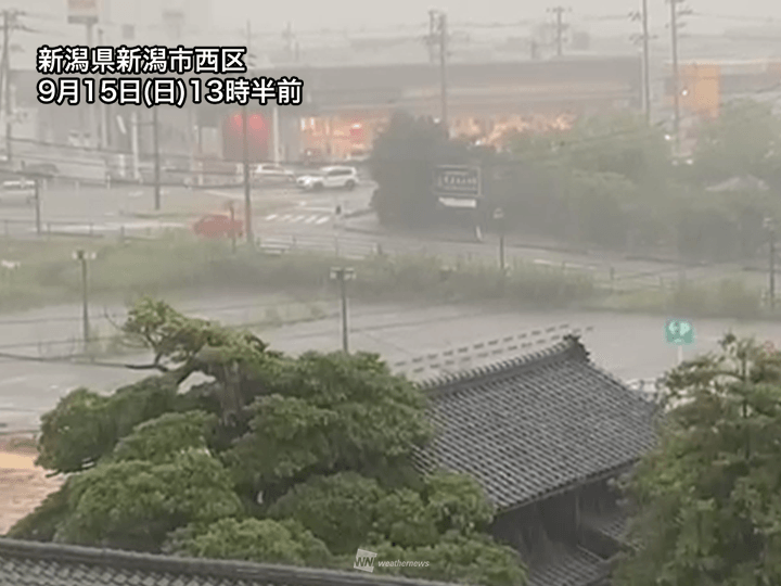 新潟県の沿岸部で激しい雨　道路冠水や低地の浸水に警戒