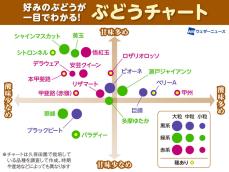 甘さや粒の大きさ、種の有無もわかる「ぶどうチャート」