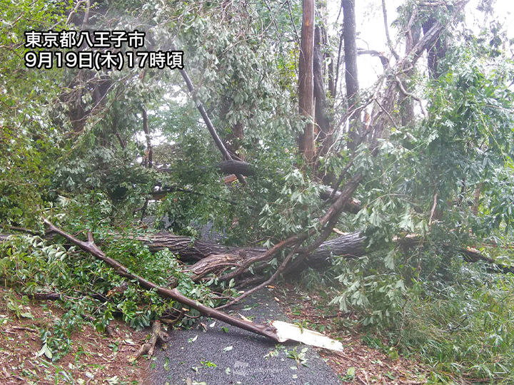 関東で局地的に激しい雷雨　東京・八王子では突風や雹の被害