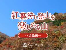 紅葉登山を楽しめる　おすすめの山【近畿】2024秋