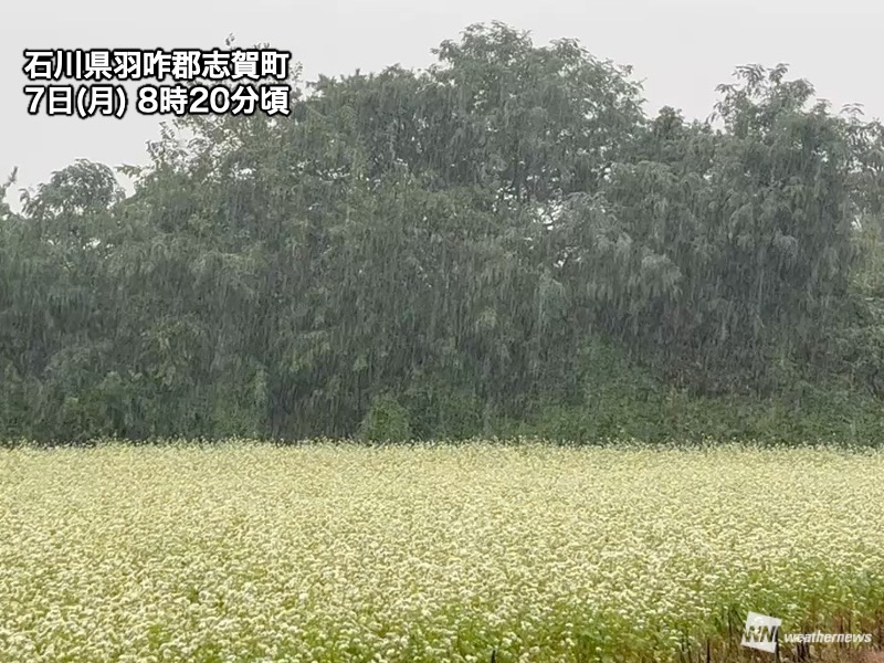 石川・能登は本降りの雨　昼過ぎにかけて激しい雨のおそれ