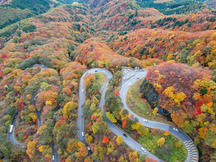 秋の行楽シーズン　知っておきたい乗り物酔い対策