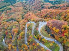 秋の行楽シーズン　知っておきたい乗り物酔い対策