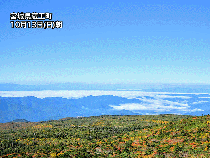 紅葉と雲海のコラボレーション　朝の冷え込みで霧が発生