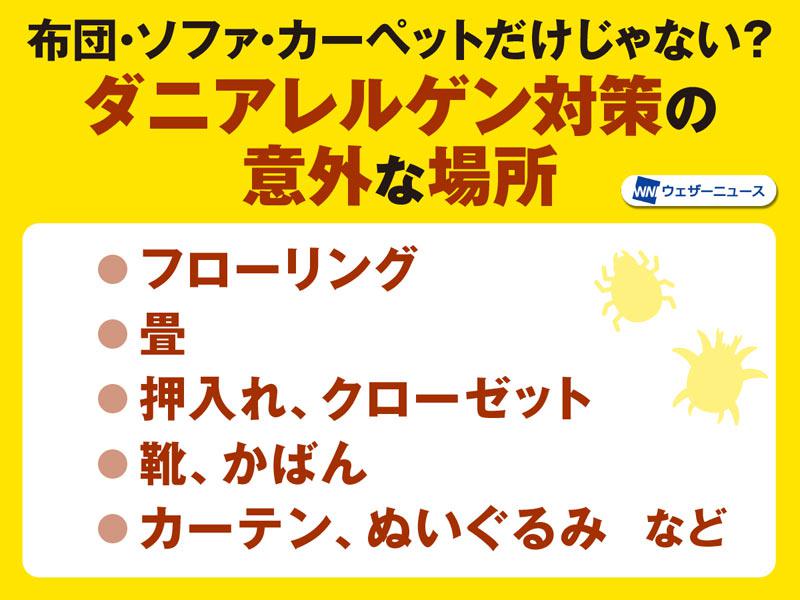 秋はダニ由来のアレルギーに注意　布団やソファ以外に対策すべき場所は