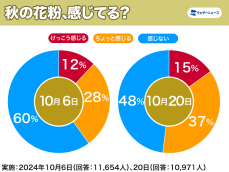 秋の花粉を感じる方が増加中、花粉症の人のうち5割以上