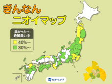 銀杏(ぎんなん)のニオイ拡大中　東京などは4割超え