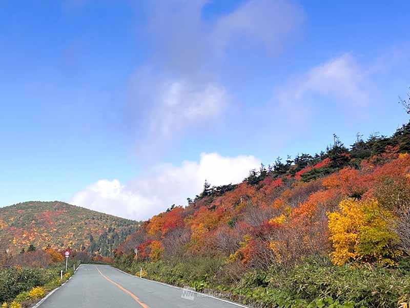 紅葉狩りドライブは油断禁物　慣れない山道を安全運転する4つのコツ