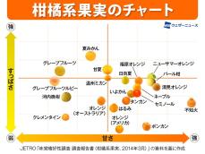 甘さやすっぱさ、ひと目で好みがわかる “柑橘系果実チャート”