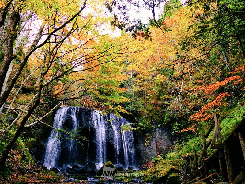 紅葉　三連休の見頃スポット情報　関東も北部から色づきエリアが広がる