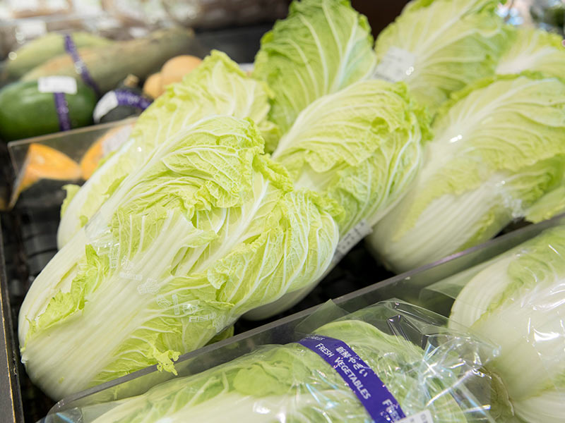 これから、どんどん値下がりする野菜は!?　11月の野菜予報